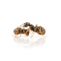 Preview: Lasius (Chthonolasius) umbratus